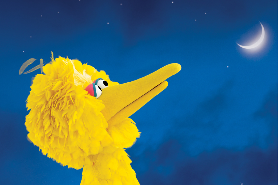 one bird  One World, One Sky: Big Bird's Adventure - Tucson Premiere